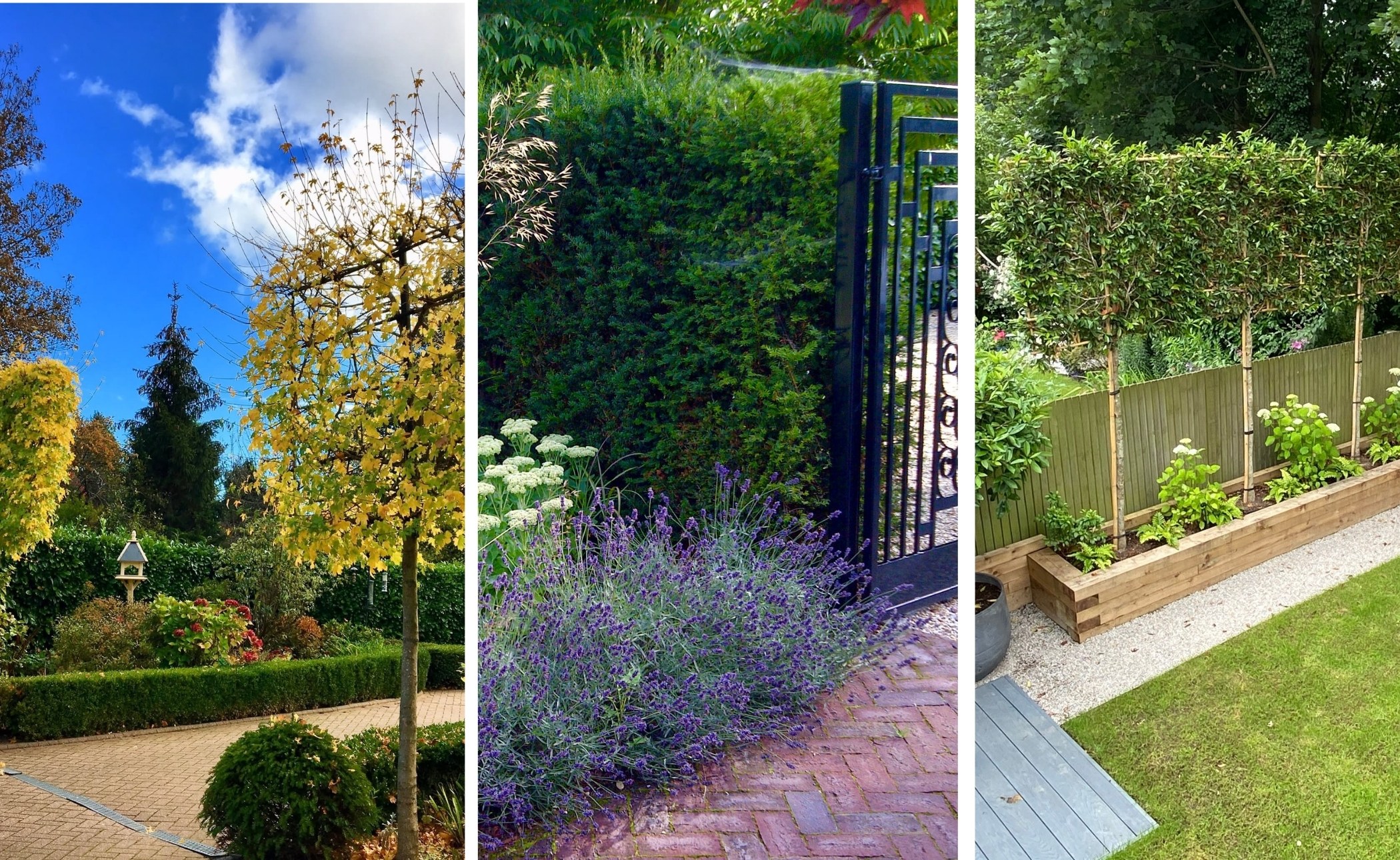 Beautiful Gardens with Summer Planting Schemes | HollandGreen